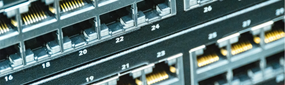 Network Engineering株式会社のSwitch